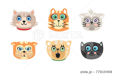 Different Cat Muzzle and Heads with Whiskers Vector Set 77810468