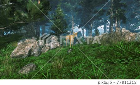 Woodland scenery with fawn in fairytale forest 3D 77811215