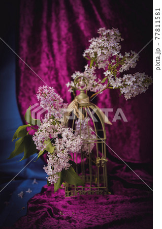 Floral still life with beautiful branches of lilac Floral still life with beautiful branches of lilac 77811581
