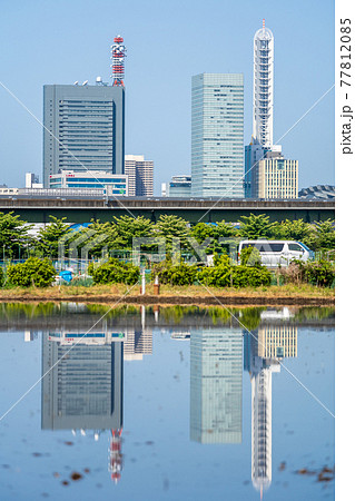 「埼玉県」春の見沼田んぼの美しい風景 77812085