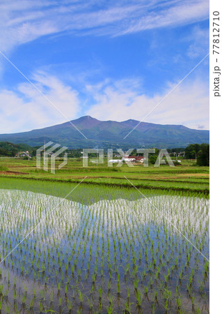 安達太良山と田んぼ・春(福島県・大玉村・本宮市) 安達太良山と田んぼ・春(福島県・大玉村・本宮市) 77812710