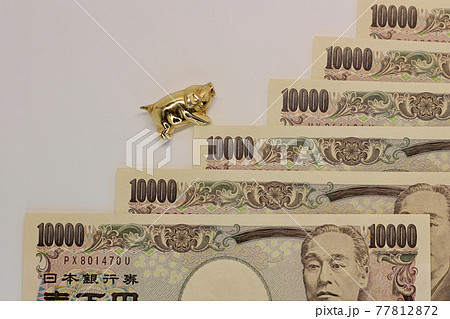 白い背景に一万円札の階段を登る金色の豚の置物 77812872