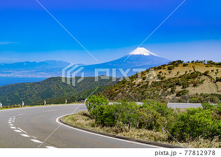 静岡県伊豆市西伊豆スカイライン　達磨山の風景 77812978
