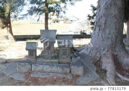 埼玉県深谷市 諏訪神社 埼玉県深谷市 諏訪神社 77813179