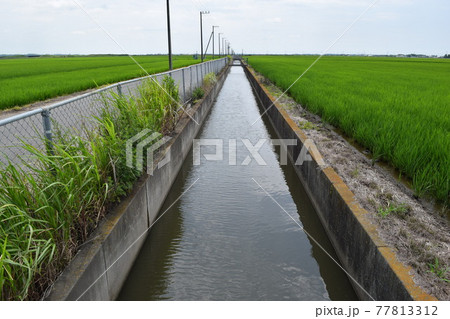 農業用水路兼排水路 茨城県 農業用水路兼排水路 茨城県 77813312