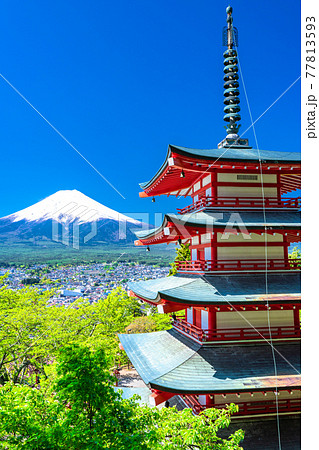《山梨県》富士山と新緑と五重の塔・新倉山浅間公園 77813593