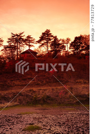 オレンジ色に染まる黒沢湿原 77813729