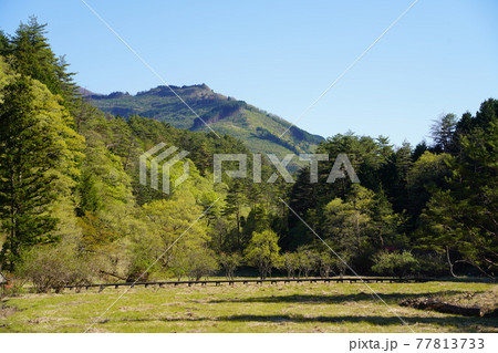 黒沢湿原から望む国見山 77813733