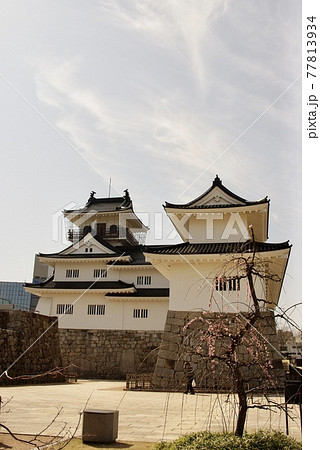 富山城、富山市郷土博物館、越中、富山観光、自粛、新型コロナ 富山城、富山市郷土博物館、越中、富山観光、自粛、新型コロナ 77813934