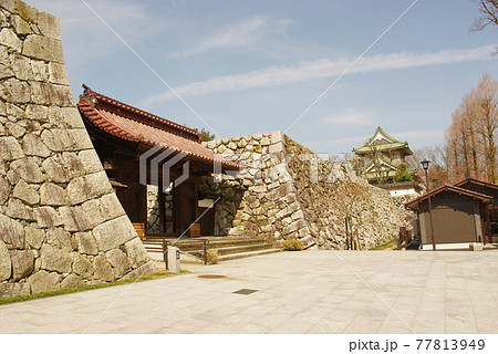 富山城、富山市郷土博物館、越中、富山観光、自粛、新型コロナ 77813949