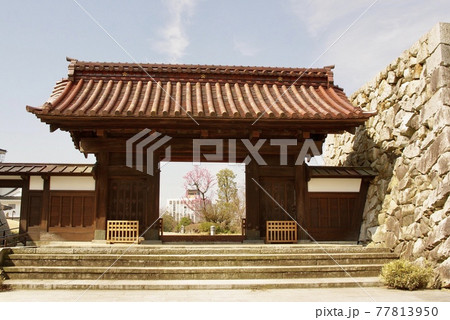 富山城、富山市郷土博物館、越中、富山観光、自粛、新型コロナ 77813950