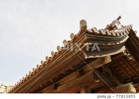 富山城、富山市郷土博物館、越中、富山観光、自粛、新型コロナ 富山城、富山市郷土博物館、越中、富山観光、自粛、新型コロナ 77813955