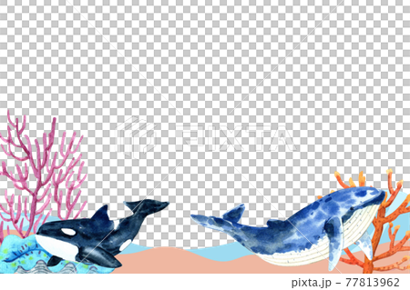 Unseen Oceans & Sealife Frame Watercolor set Unseen Oceans & Sealife Frame Watercolor set 77813962