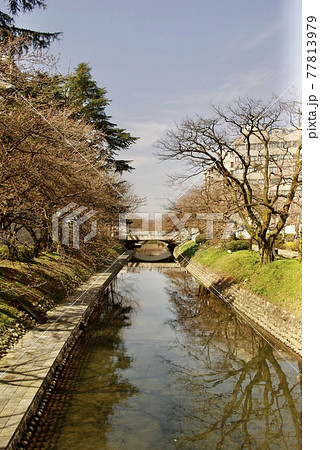 富山城、富山市郷土博物館、越中、富山観光、自粛、新型コロナ 77813979