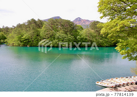 春の五色沼・毘沙門沼（福島県・裏磐梯） 77814139