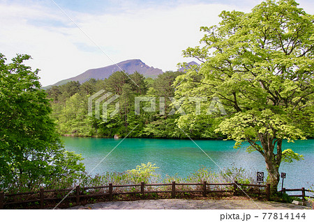 春の五色沼・毘沙門沼（福島県・裏磐梯） 77814144