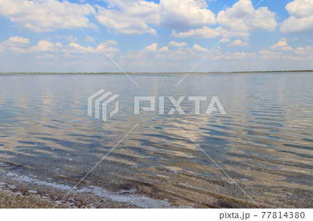 View of a salt Ustrichnnoe (oyster) lake in Kherson region, Ukraine 77814380
