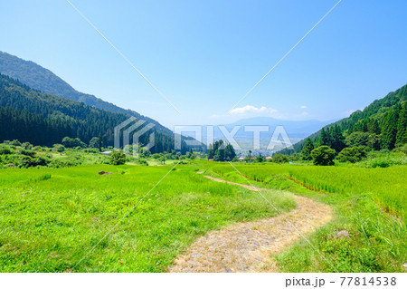 福島の棚田(飯山市) 福島の棚田(飯山市) 77814538