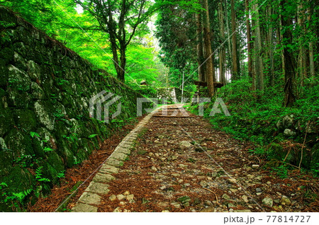 岩村城 追手門~霧ヶ井:岐阜 岩村城 追手門~霧ヶ井:岐阜 77814727