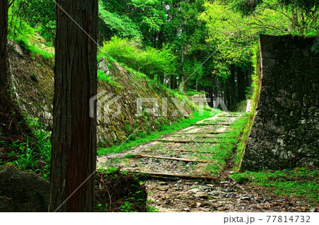 岩村城　追手門～霧ヶ井：岐阜 77814732