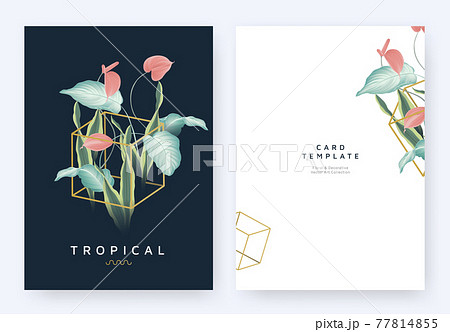 Minimalist invitation card template design, tropical plants and red Anthurium flowers Minimalist invitation card template design, tropical plants and red Anthurium flowers 77814855
