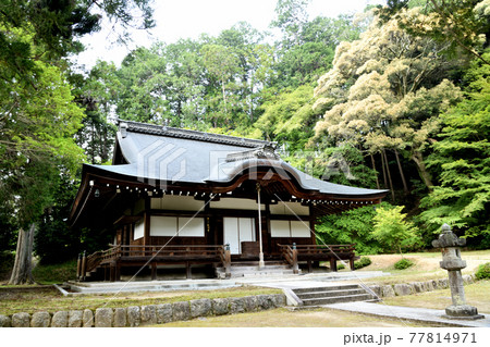 弘川寺本堂 【大阪府南河内郡河南町】 弘川寺本堂 【大阪府南河内郡河南町】 77814971