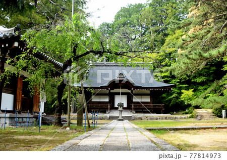 弘川寺本堂　【大阪府南河内郡河南町】 77814973