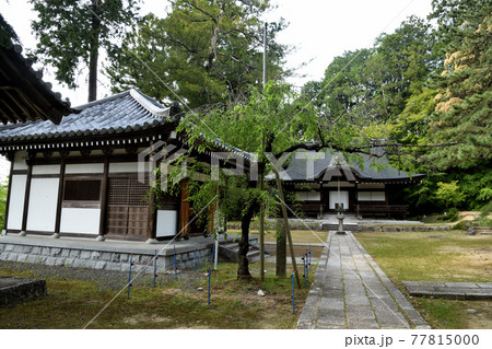 弘川寺 本堂と護摩堂(左) 【大阪府南河内郡河南町】 弘川寺 本堂と護摩堂(左) 【大阪府南河内郡河南町】 77815000