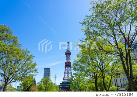 札幌　テレビ塔　都市風景　オリンピックマラソン 77815184