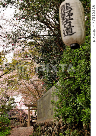 藤白神社の鳥居(藤白坂に向かう熊野古道) 藤白神社の鳥居(藤白坂に向かう熊野古道) 77815216
