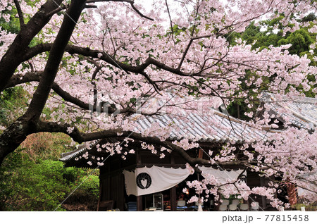 施無畏寺　開山堂(御影堂)　【和歌山県有田郡湯浅町】 77815458