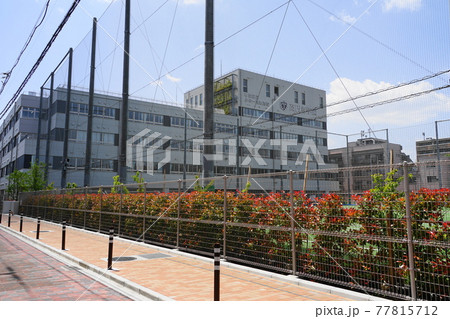 杉並区立高円寺中学校閉校02杉並区立高円寺学園小中学部・校舎 杉並区立高円寺中学校閉校02杉並区立高円寺学園小中学部・校舎 77815712