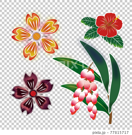 紅型風 沖縄の花のイラスト素材