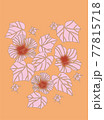 芙蓉 77815718