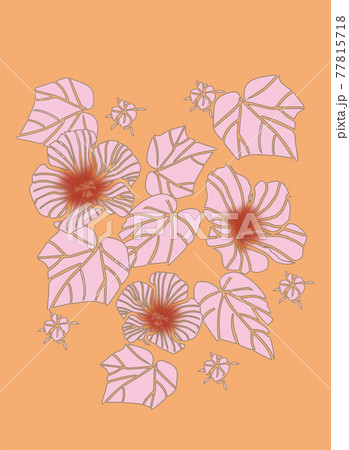 芙蓉 77815718