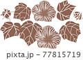 芙蓉2 77815719