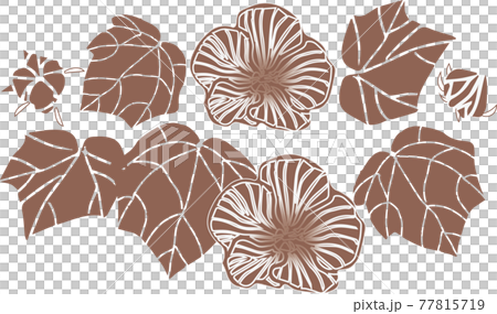 芙蓉2 77815719