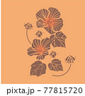 芙蓉3 77815720