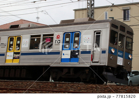 ［DT］東急田園都市線8500系（青帯：Bunkamura号） 77815820