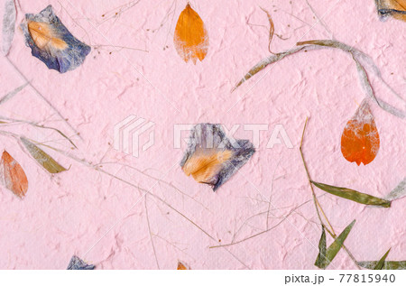 mulberry paper with red and yellow flower petal and seed texture background. 77815940