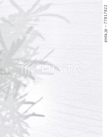 影 影 77817822