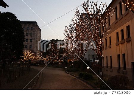 旧門司三井倶楽部の小路_夕景 旧門司三井倶楽部の小路_夕景 77818030