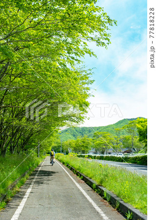 新緑・初夏のサイクリングのイメージ(蒜山高原) 新緑・初夏のサイクリングのイメージ(蒜山高原) 77818228