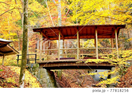 秋の鹿教湯温泉 77818256