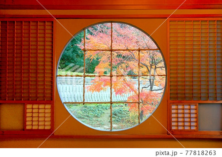 円窓と紅葉のモミジ 77818263