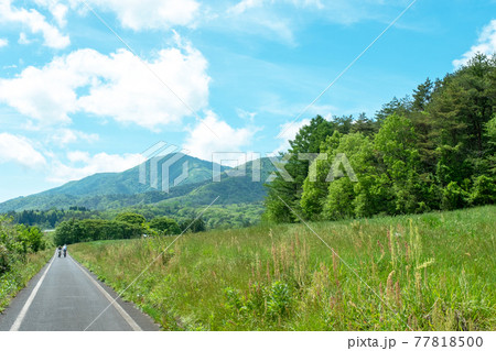 新緑・初夏のサイクリングのイメージ（蒜山高原） 77818500