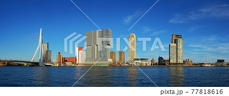Rotterdam skyscrapers skyline and Erasmusbrug bridge over of Nieuwe Maas river. Rotterdam 77818616
