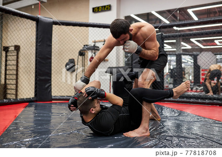 Sports concept of fighting without rules. Two strong powerful wrestlers at gym, training Sports concept of fighting without rules. Two strong powerful wrestlers at gym, training 77818708