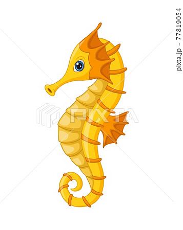 Cartoon seahorse on white background Cartoon seahorse on white background 77819054
