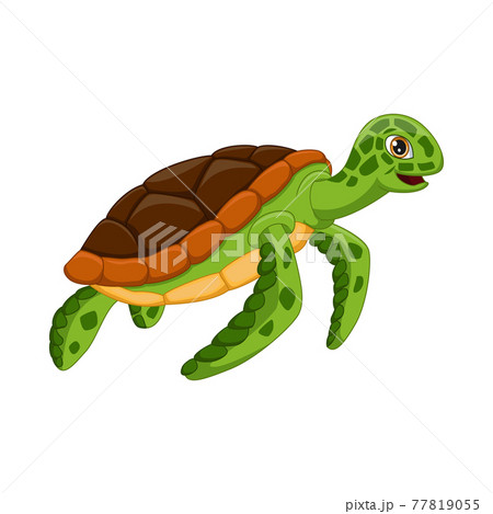 Cartoon turtle on white background Cartoon turtle on white background 77819055
